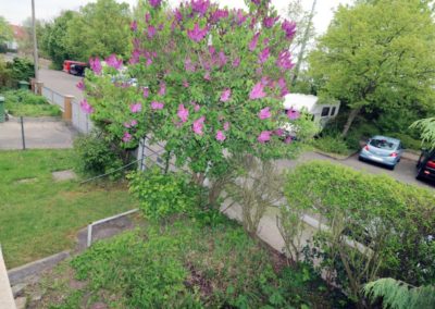 Ausblick aus Esszimmer